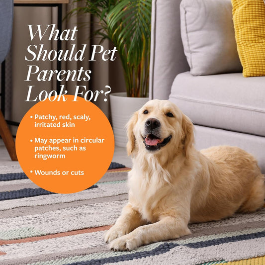 Antiseptic and Antifungal Medicated Shampoo for Dogs & Cats– Helps Alleviate Scaly, Greasy, Red Skin – Paraben, Dye, Soap-Free (1 Pack)