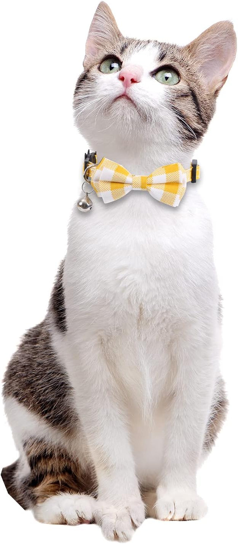 2 Pack/Set Stylish Cat Collar with Bow Tie and Bell , Plaid Flower for Kitty , Adjustable