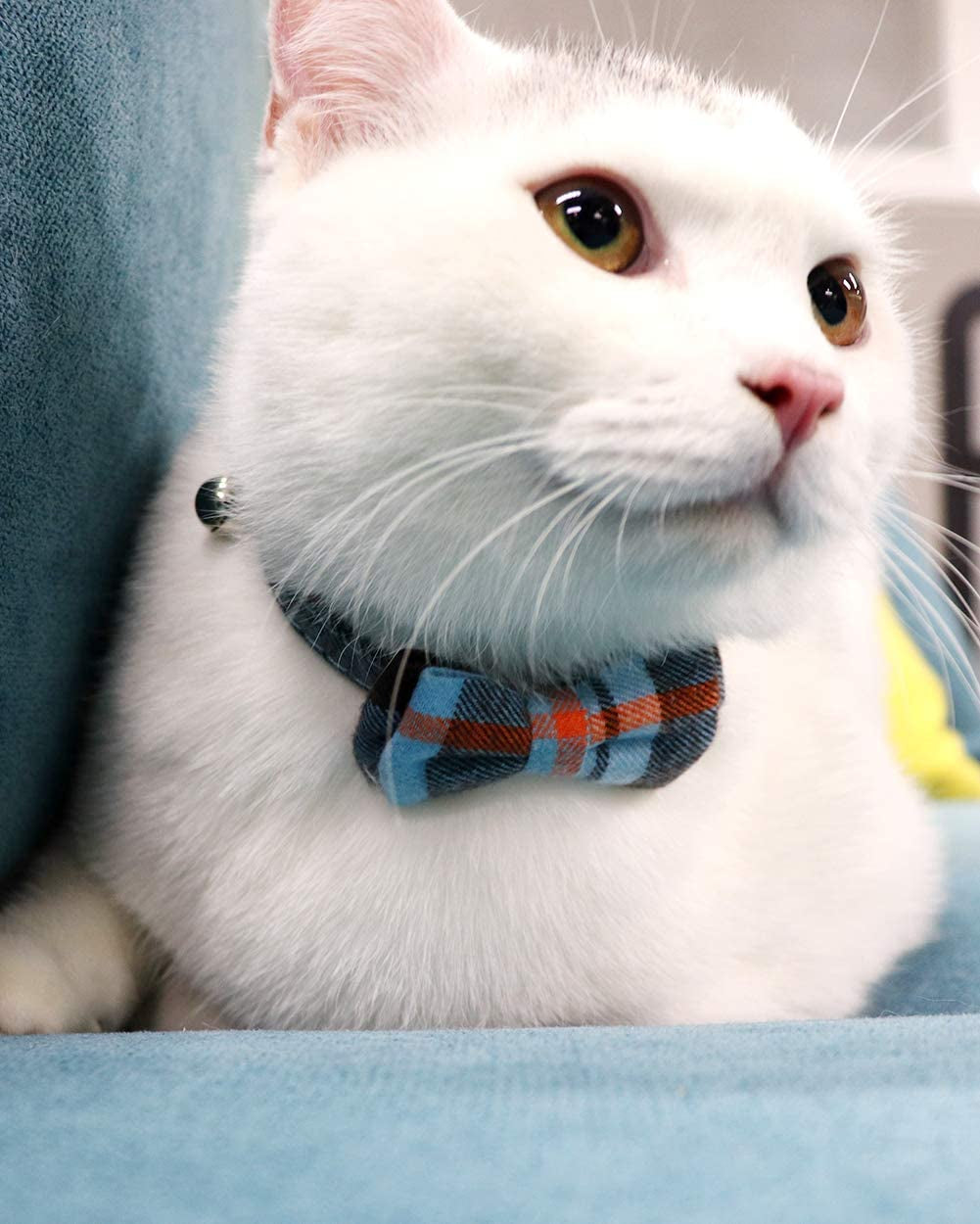 Stylish Cat Collar with BowTie & Bells, 1 Pack Safety Plaid Kitten Collars, Haze Blue
