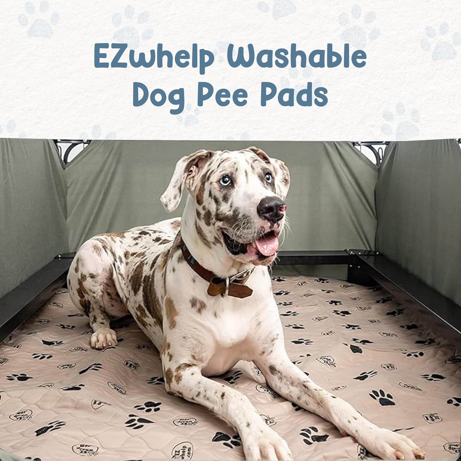 2 Pck Washable/ Reusable Dog Pee Pads, Waterproof Mats for Potty Training , 16.5X19.5 Inch