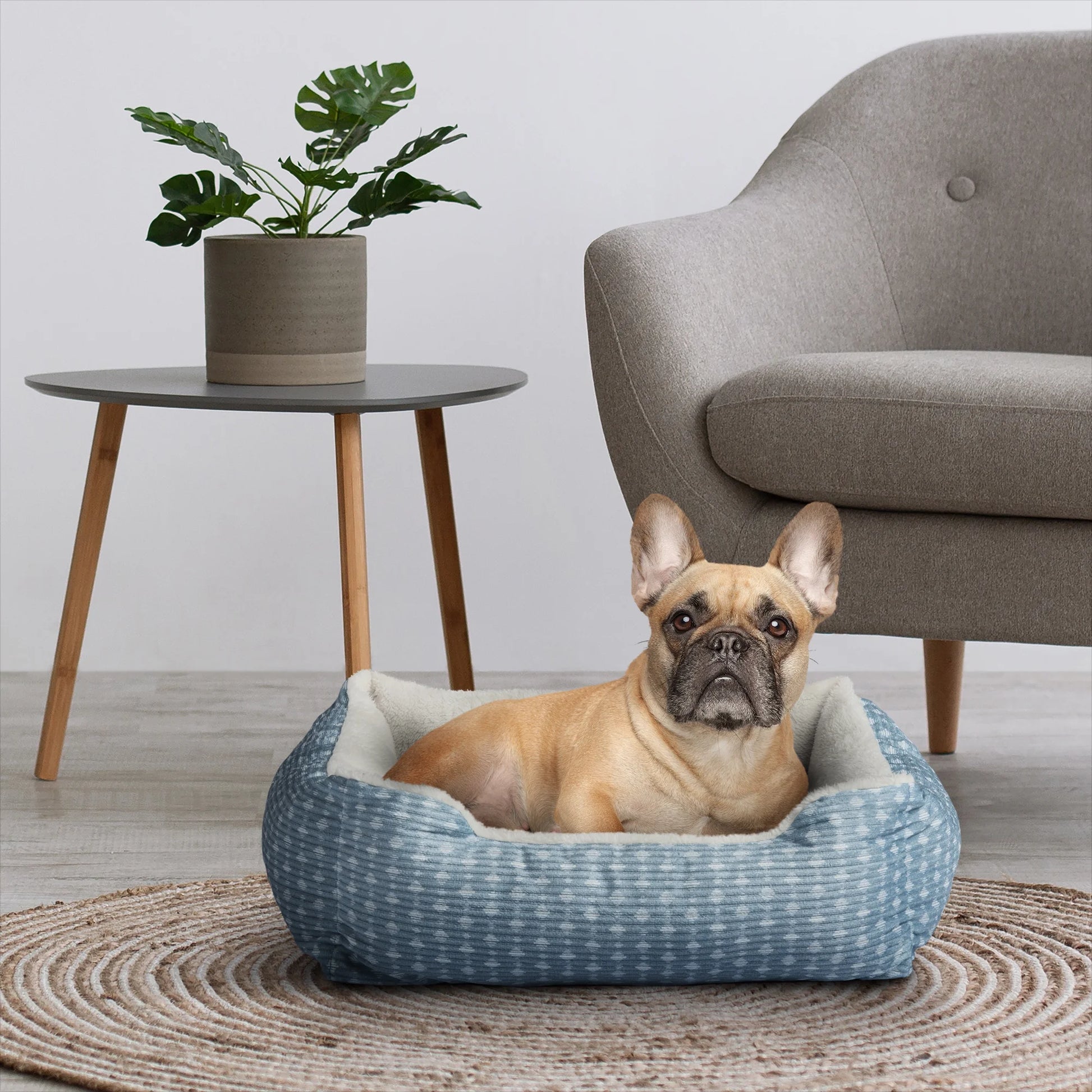 (3 Pack)  Dog & Cat Plush Bed/ Cuddler, Portable, Blue & White, 19" × 15"