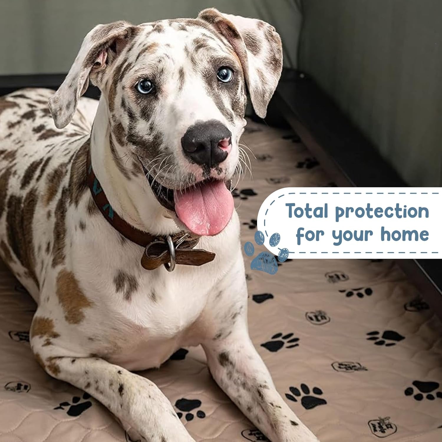 2 Pck Washable/ Reusable Dog Pee Pads, Waterproof Mats for Potty Training , 16.5X19.5 Inch