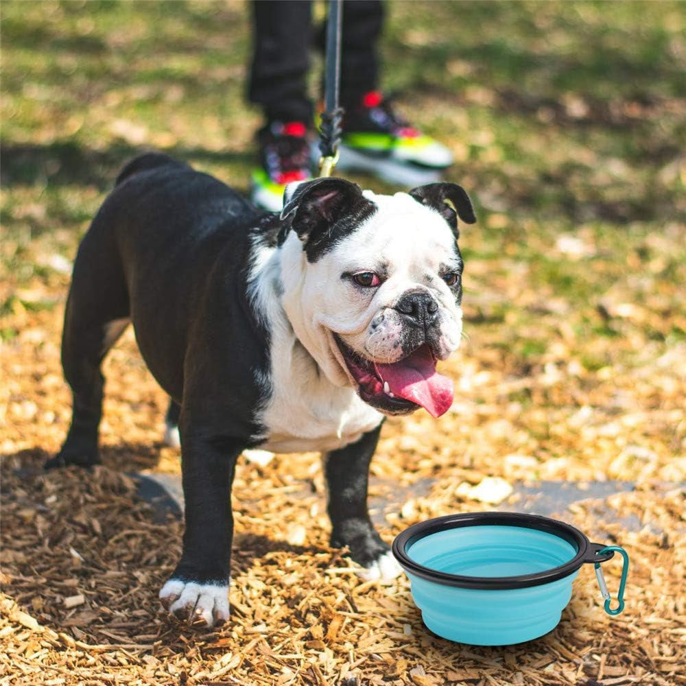 2-Pack Collapsible Travel Pet Bowl , Portable Silicone Pet Feeder, Foldable /Expandable Bowl (Light Blue+Light Green)